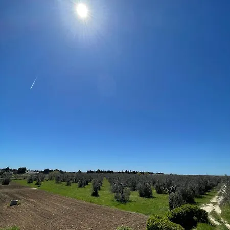Gæstehus Villetta A Due Passi Da *